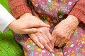 - Foto: Sandor Kacso - Fotolia - Foto: Sandor Kacso - Fotolia